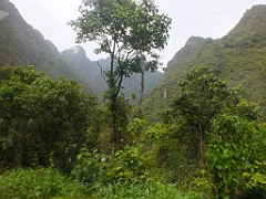 machupicchu from (245)